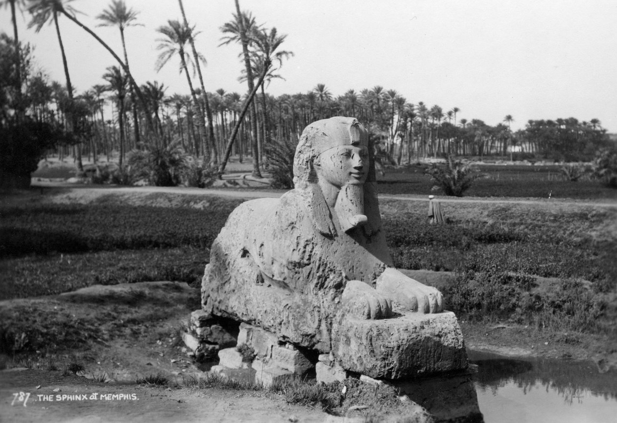 Alabaster Sfinx i Memphis, Egypten, c1920-c1930s av Unbekannt