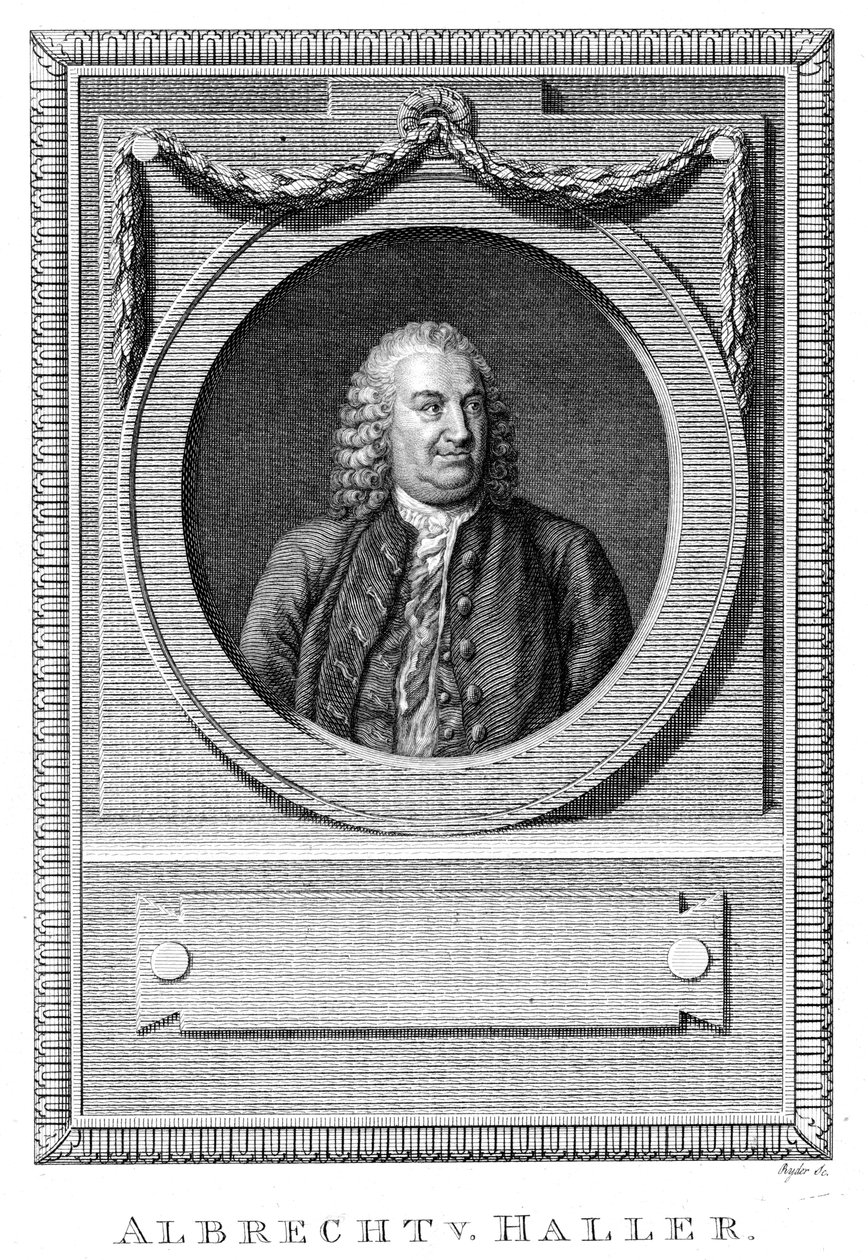 Albrecht von Haller, schweizisk läkare och vetenskapsman, c1770 c1780 av Unbekannt