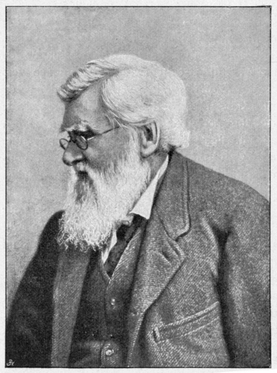 Alfred Russell Wallace, walesisk naturforskare, c1895 av Unbekannt