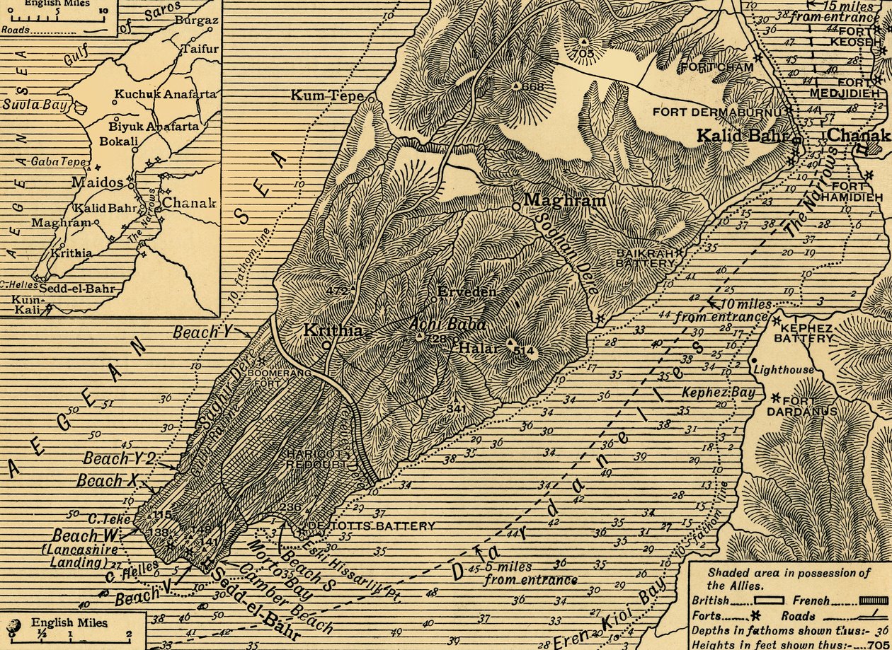 Allierade positioner på halvön Gallipoli i Turkiet, första världskriget, juli 1915, c1920. av Unbekannt
