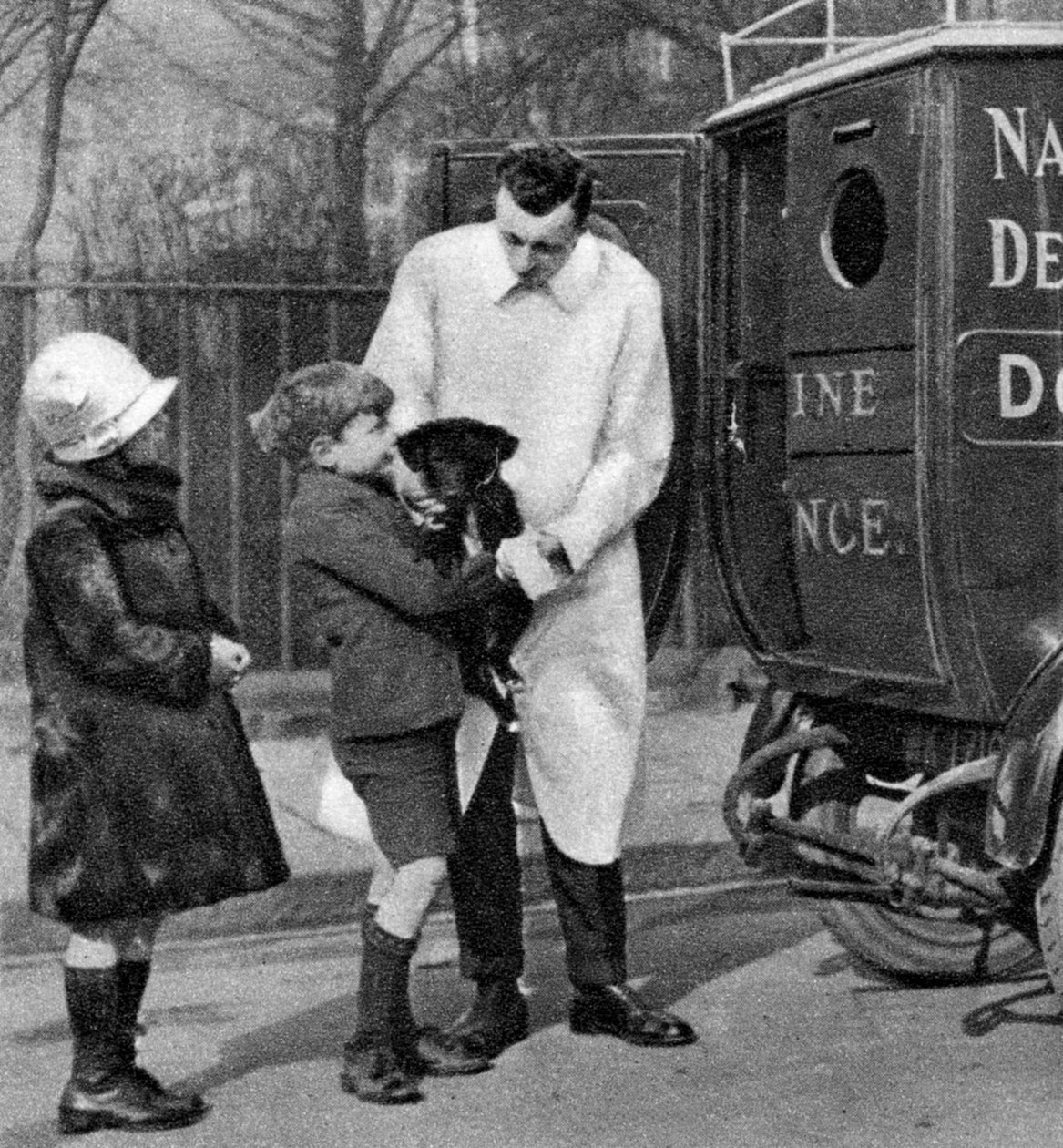 Ambulans från National Canine Defense League, London, 1926-1927 av Unbekannt