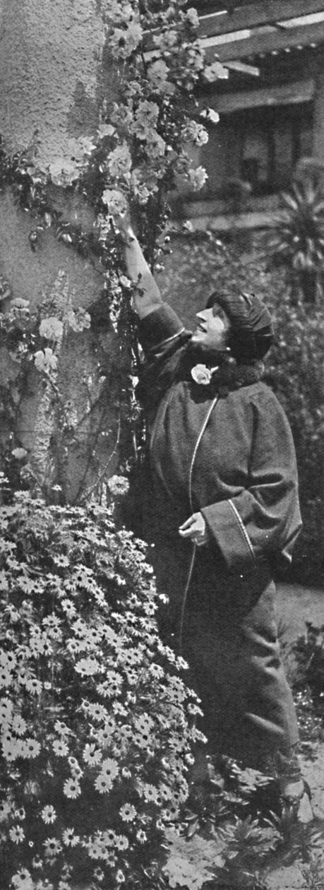 Amelita Galli-Curci - Den stora divan som samlar rosor, hennes favoritblommor, c1925 av Unbekannt