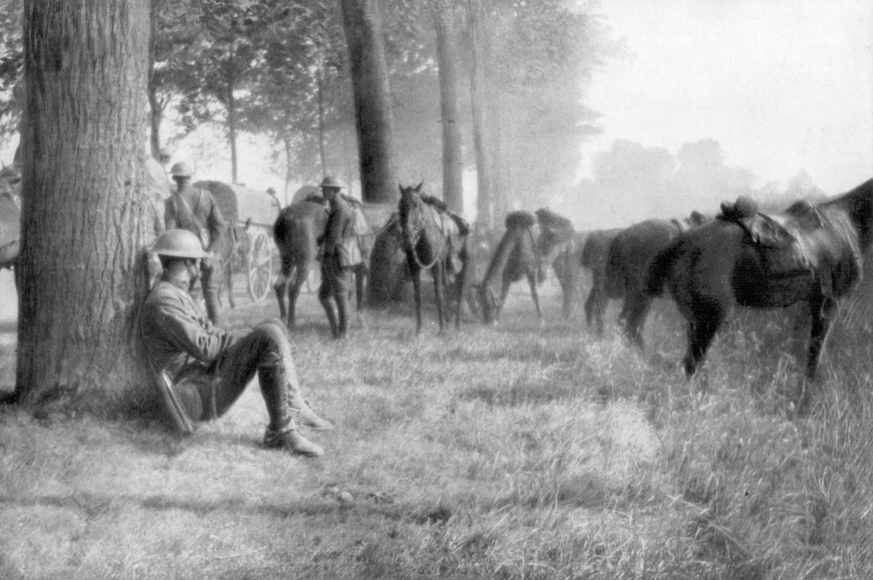 Amerikansk kavallerienhet i vila, Chemin des Dames, Frankrike, 1918 av Unbekannt