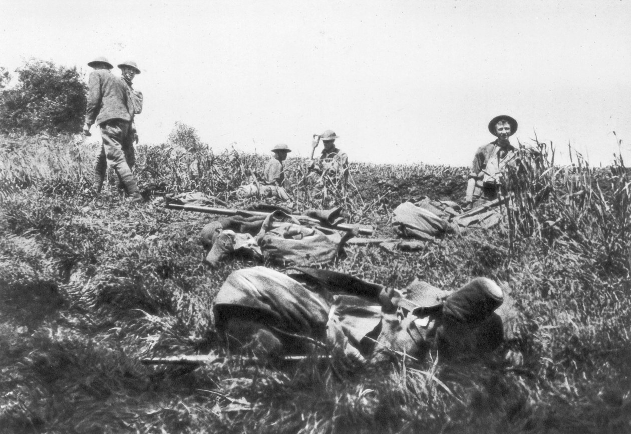 Amerikanska marinsoldater gräver skyttegravar, Lucy-le-Bocage, Frankrike, 1 juni, 1918 av Unbekannt
