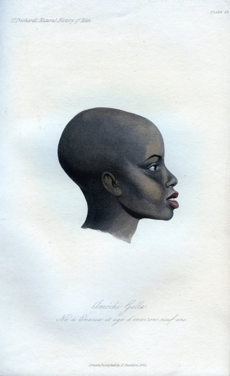 Amochi Galla, ett porträtt av en Galla, 1848 av Unbekannt