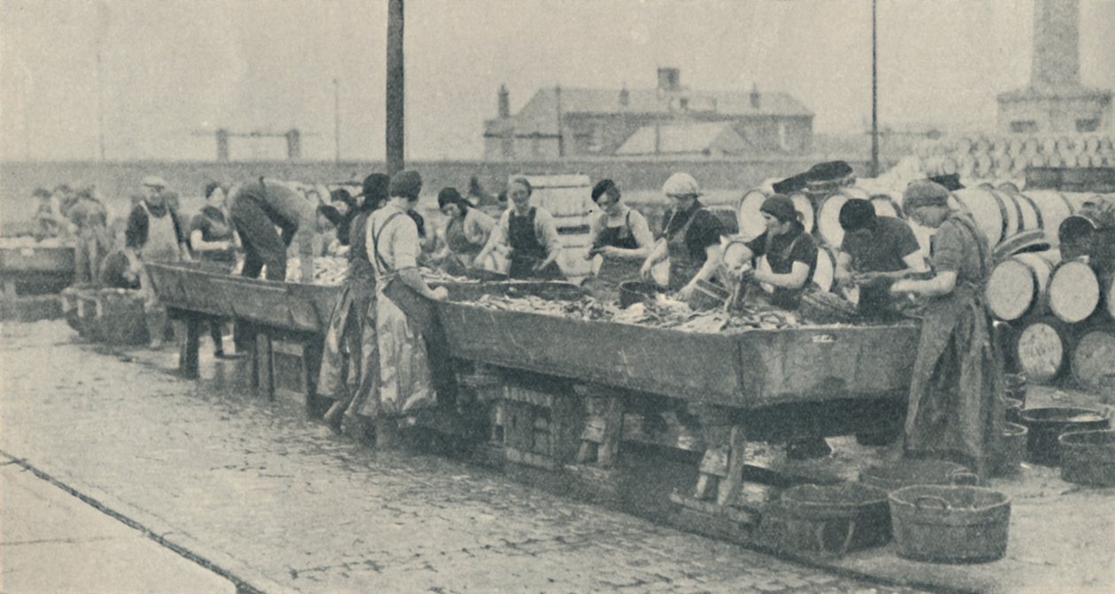 En viktig del av branschen. Skotska flickor upptagna med rensning i Yarmouth, 1937 av Unbekannt
