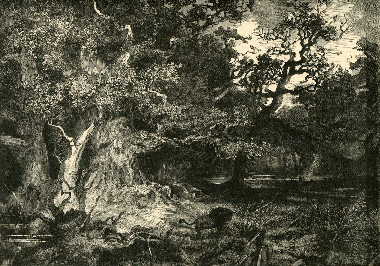 En gammal tysk skog, 1890. av Unbekannt