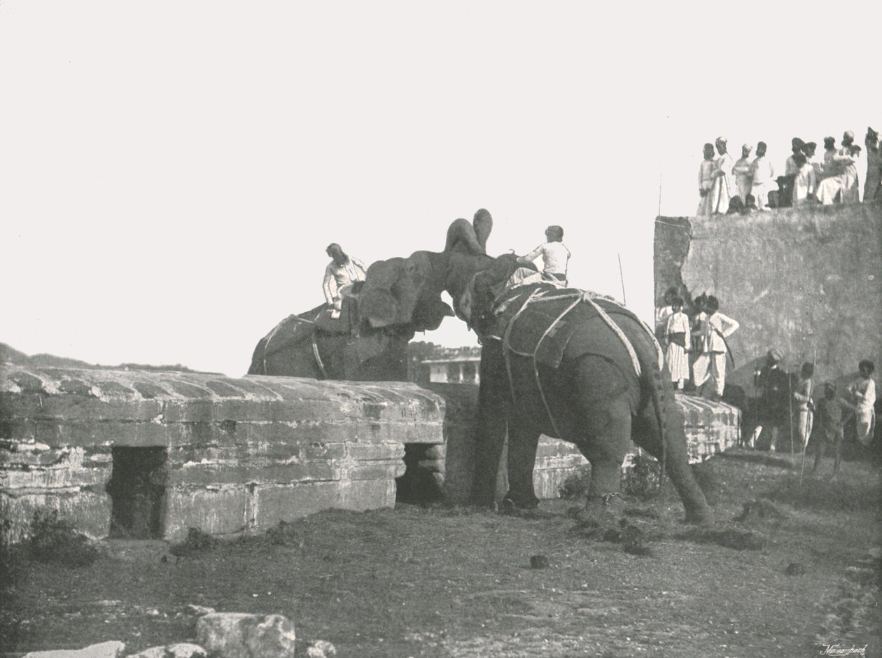 En elefantkamp, Hyderabad, Indien, 1895. av Unbekannt