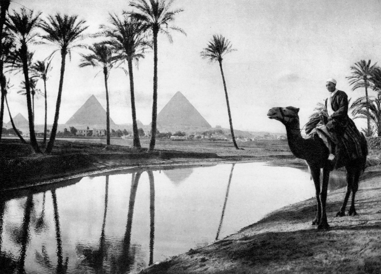 En oas nära Kairo, Egypten, c1920-talet av Unbekannt