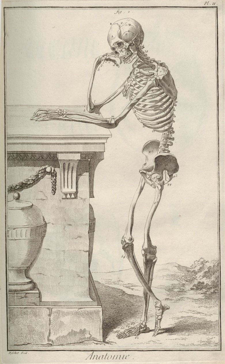 Anatomi. Ur Encyclopédie av Denis Diderot och Jean Le Rond dAlembert, 1751-1765. av Unbekannt