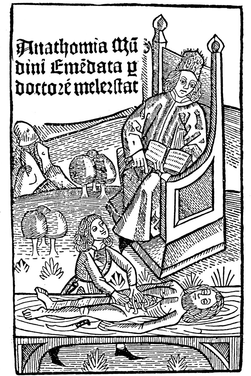 Anatomi demonstration, 1493 av Unbekannt