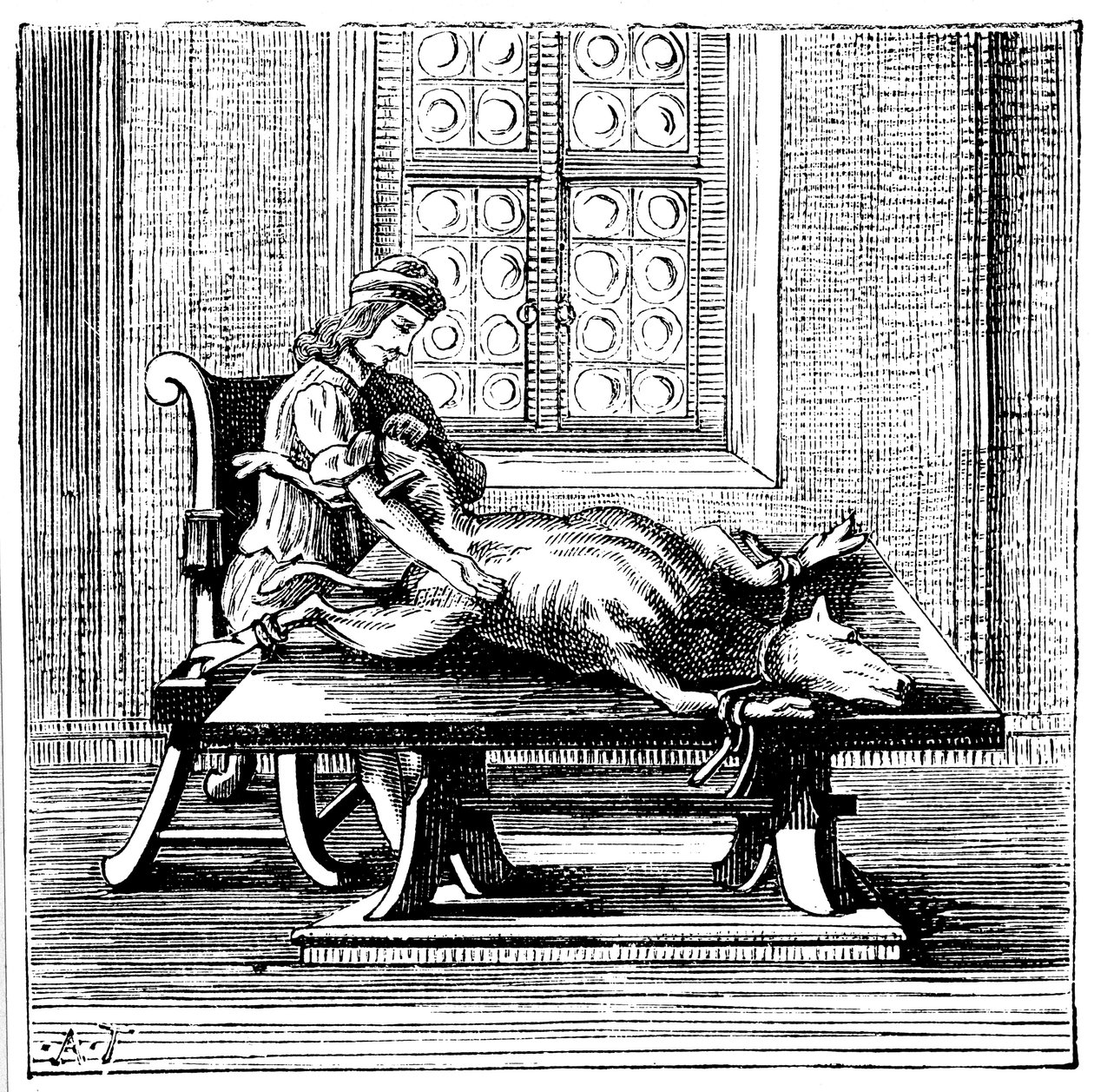 Blodtransfusion från djur till människa, 1679 av Unbekannt