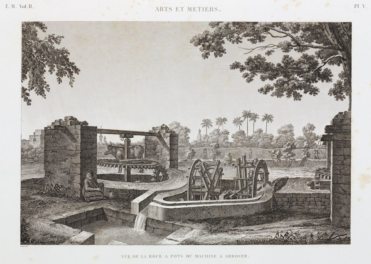 Animal Power Wheel and hink bevattningssystem, Egypten, c 1798 av Unbekannt
