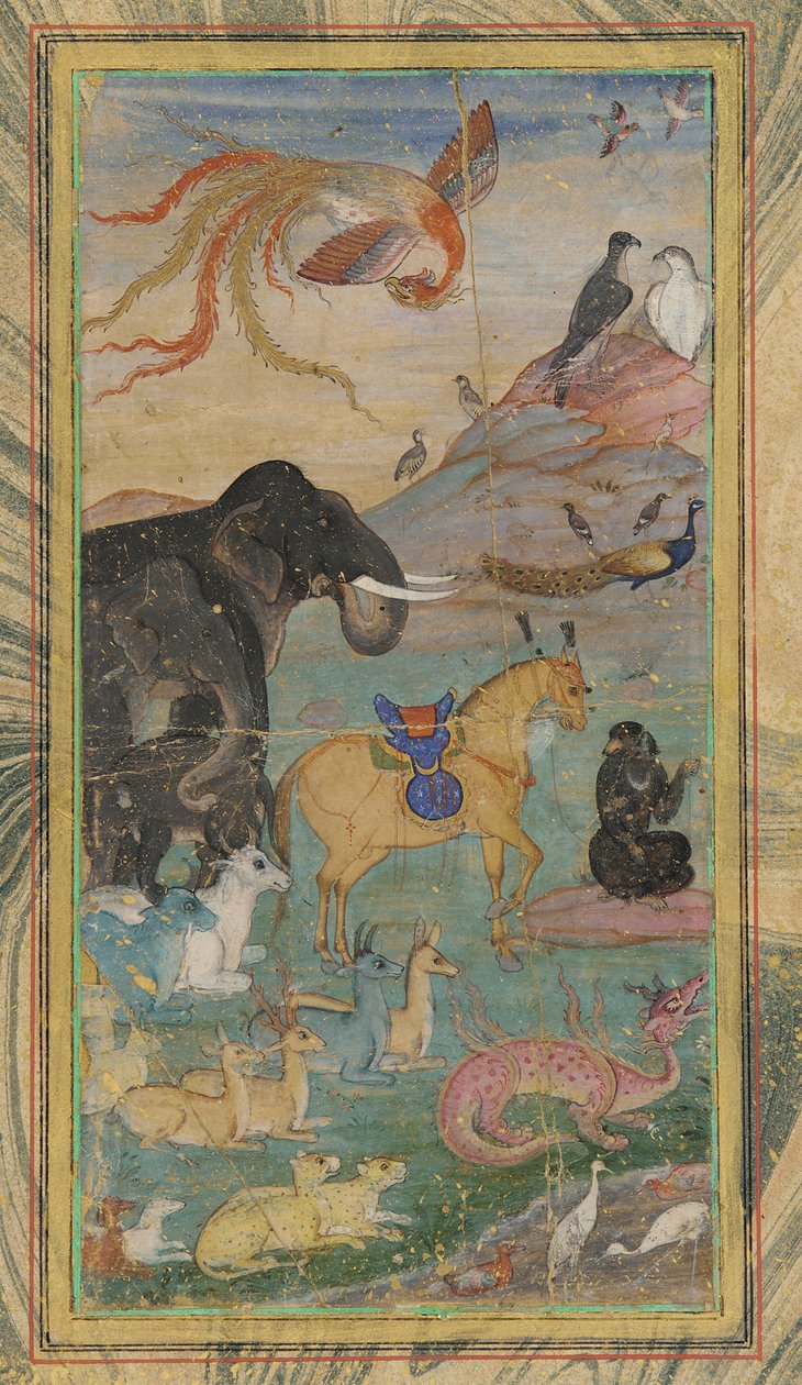 Djur och fåglar, 1600-talet. av Unbekannt
