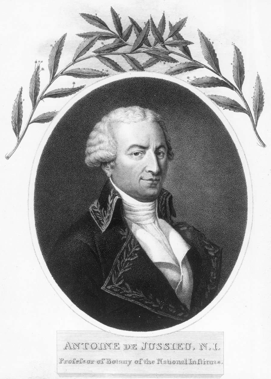 Antoine de Jussieu, fransk botaniker från 1700-talet, 1807 av Unbekannt