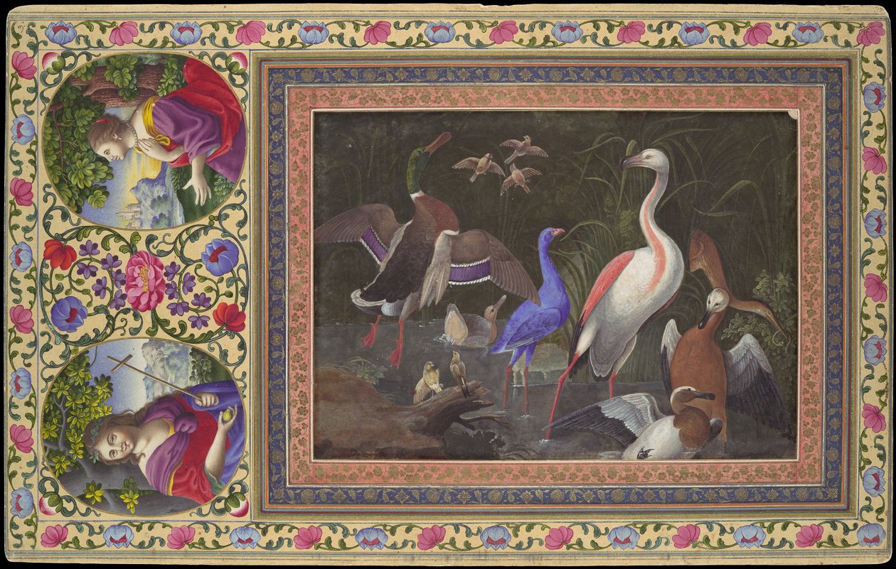 Aquatic Birds at a Pool, Folio från Davis Album, 1700-talet. av Unbekannt