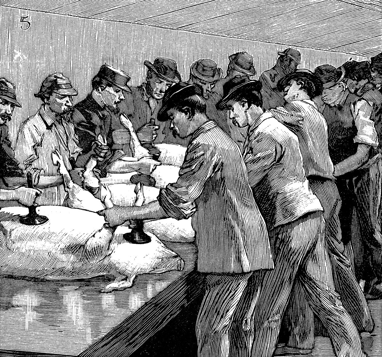 Armour Companys grisslakteri, Chicago, Illinois, USA, 1892 av Unbekannt