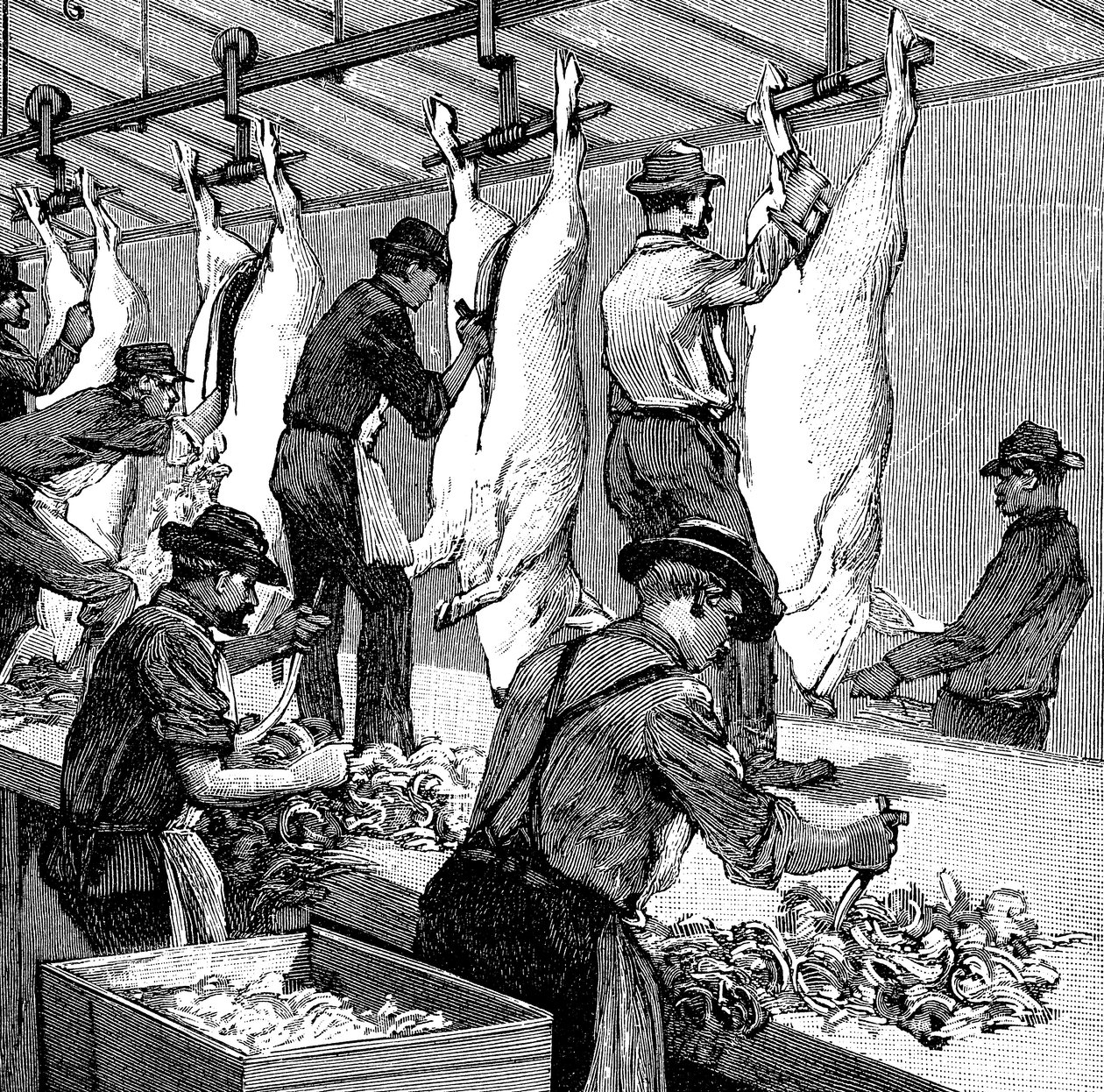 Armour Companys grisslakteri, Chicago, Illinois, USA, 1892 av Unbekannt