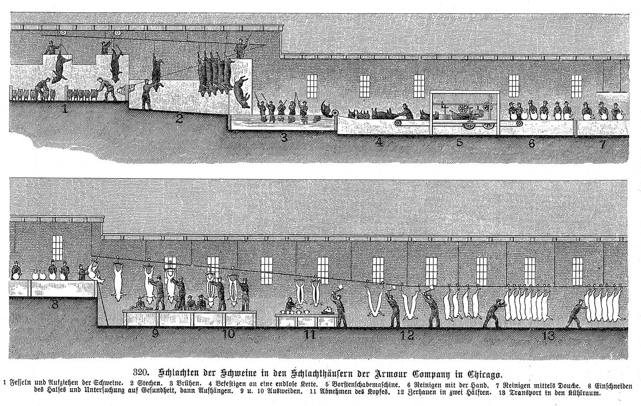 Armour Companys grisslakteri, Chicago, Illinois, USA, 1895 av Unbekannt
