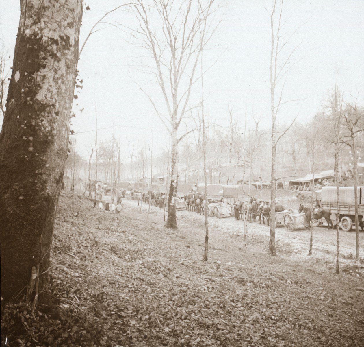 Artilleri, Somme, norra Frankrike, c1914-c1918 av Unbekannt