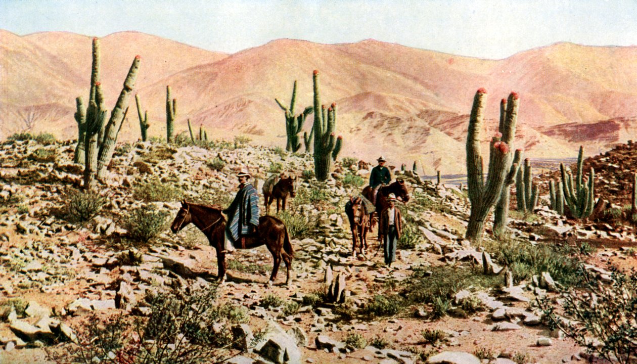 Atacamaöknen, norra Chile, Sydamerika, c1923 av Unbekannt