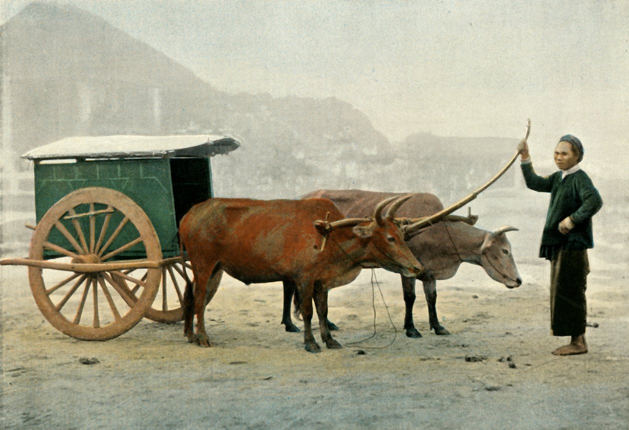 Annamite hitch, Annamite Yoke, 1900. av Unbekannt