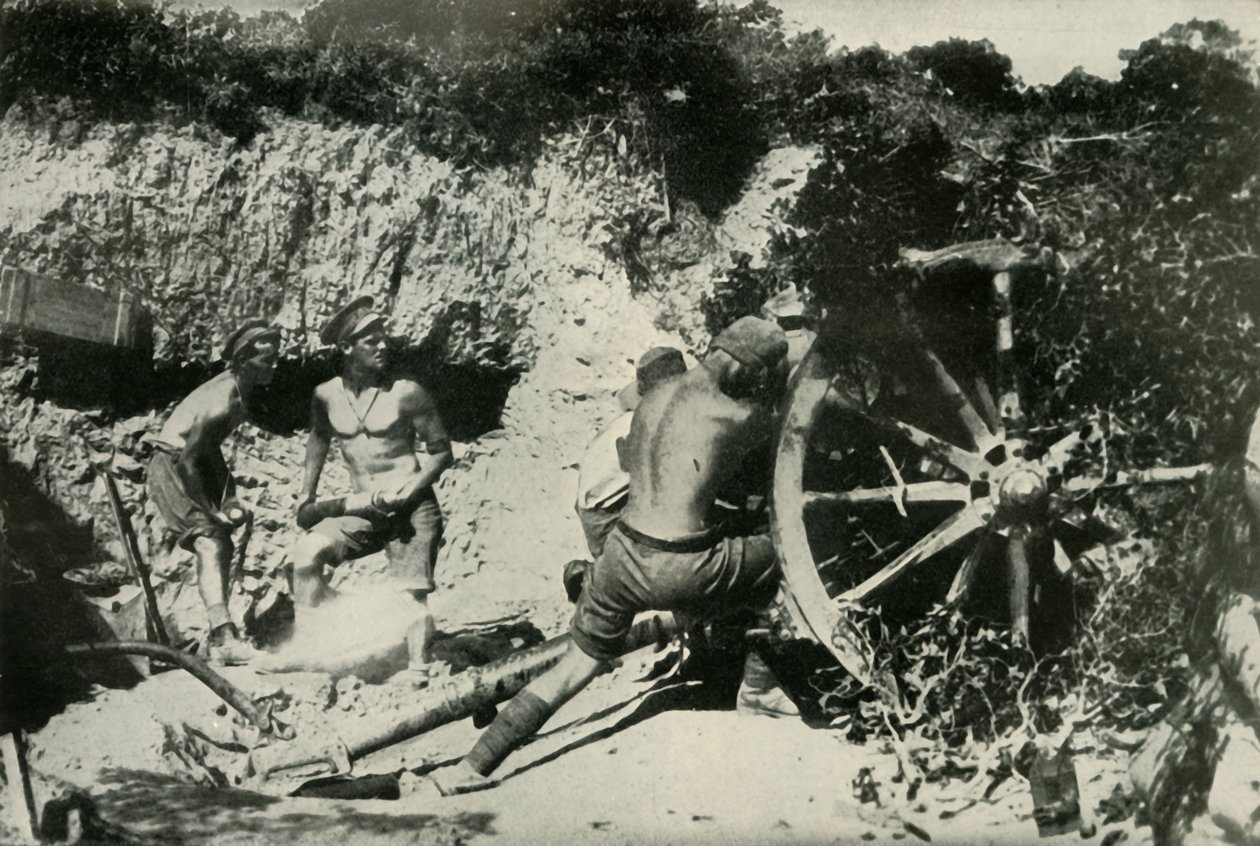 Australian Gunners på Gallipolihalvön, 1919. av Unbekannt