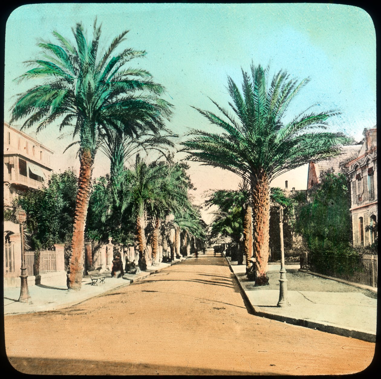 Avenue of Palms, Hyeres, Frankrike, sent 1800-tal eller tidigt 1900-tal av Unbekannt