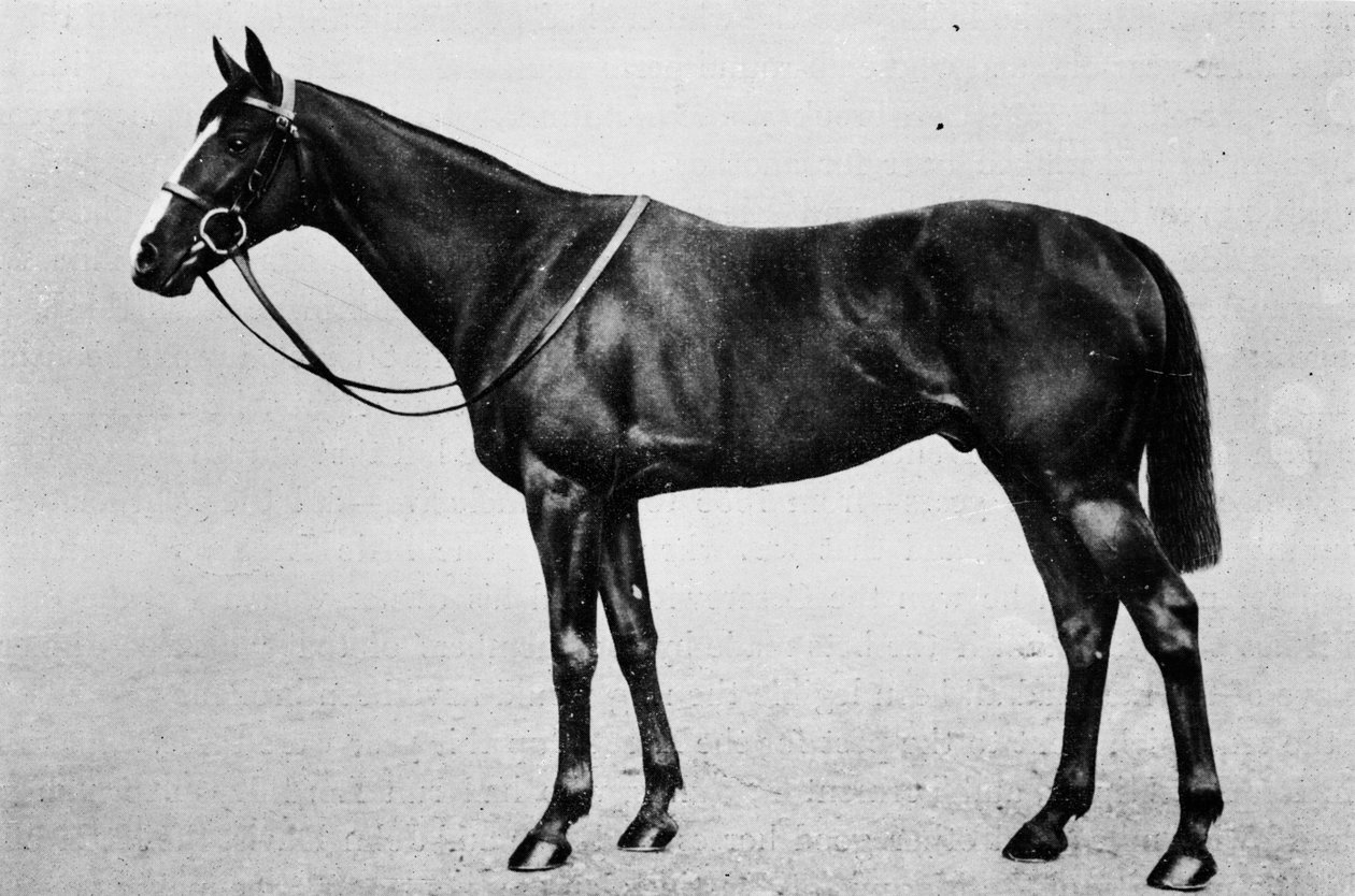 Bachelors dubbel, 1911 av Unbekannt