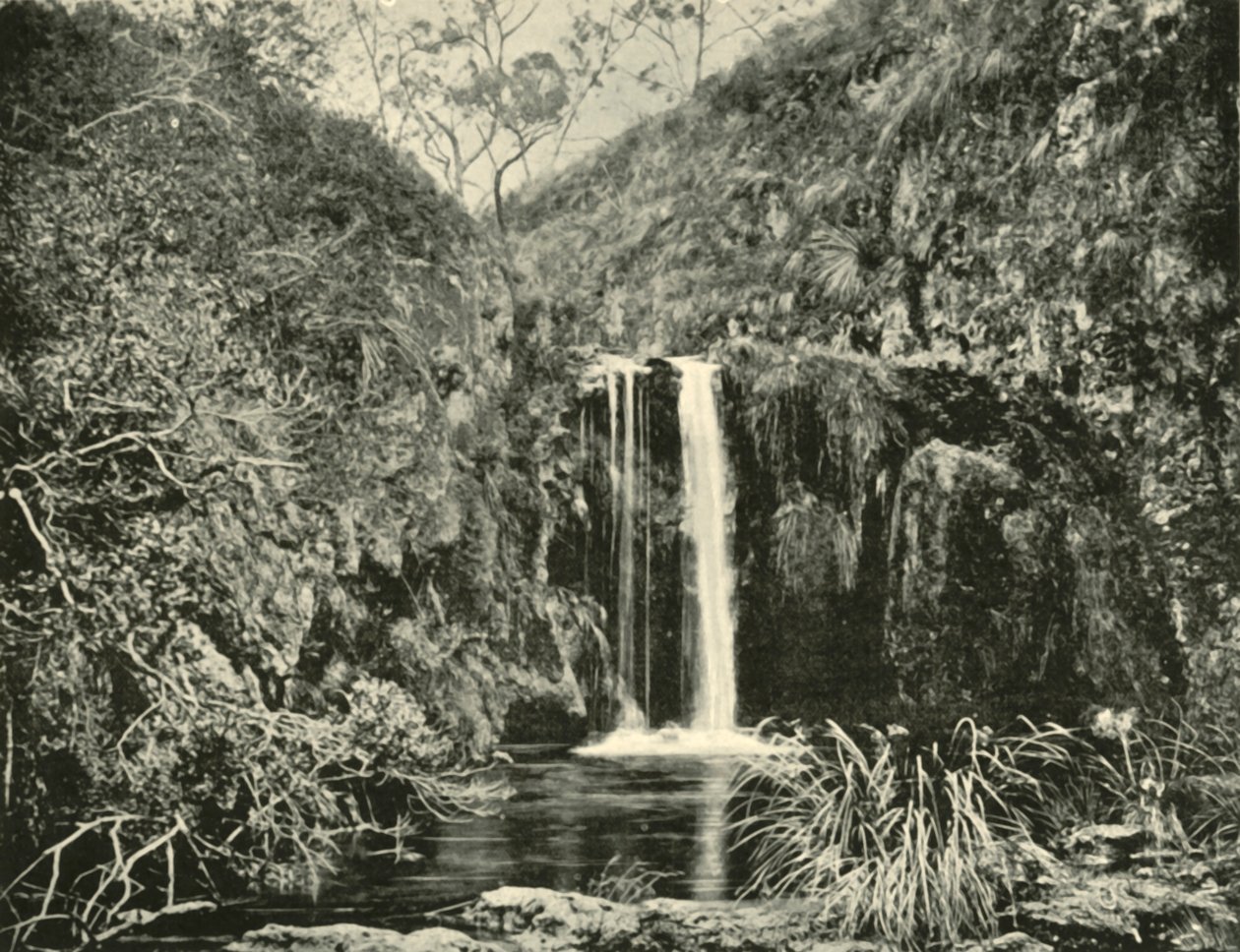 Back Creek Falls, Buchan River, Victoria, 1901. av Unbekannt