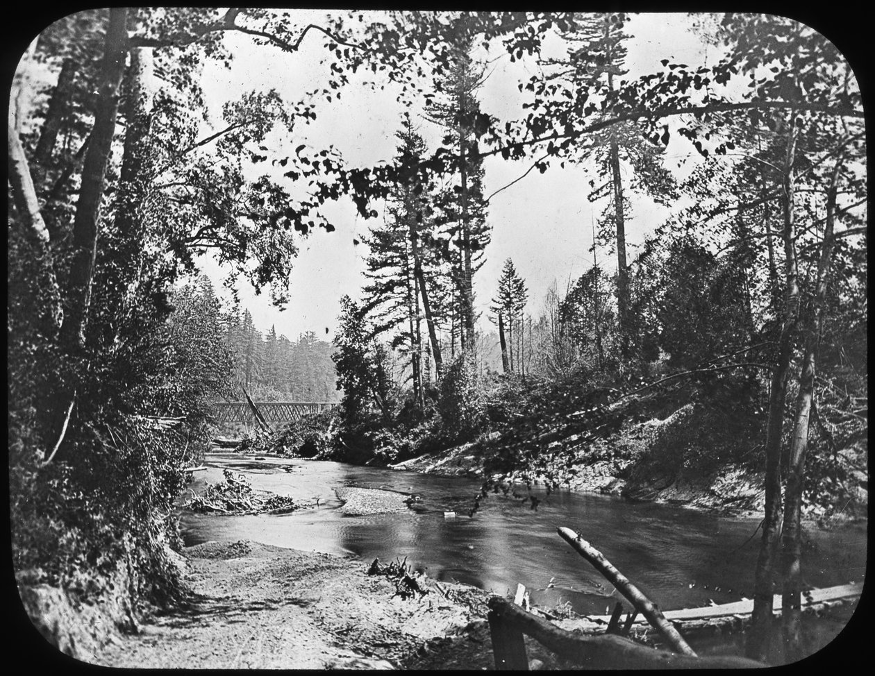 Backwoods, västra USA, sent 1800-tal eller tidigt 1900-tal av Unbekannt
