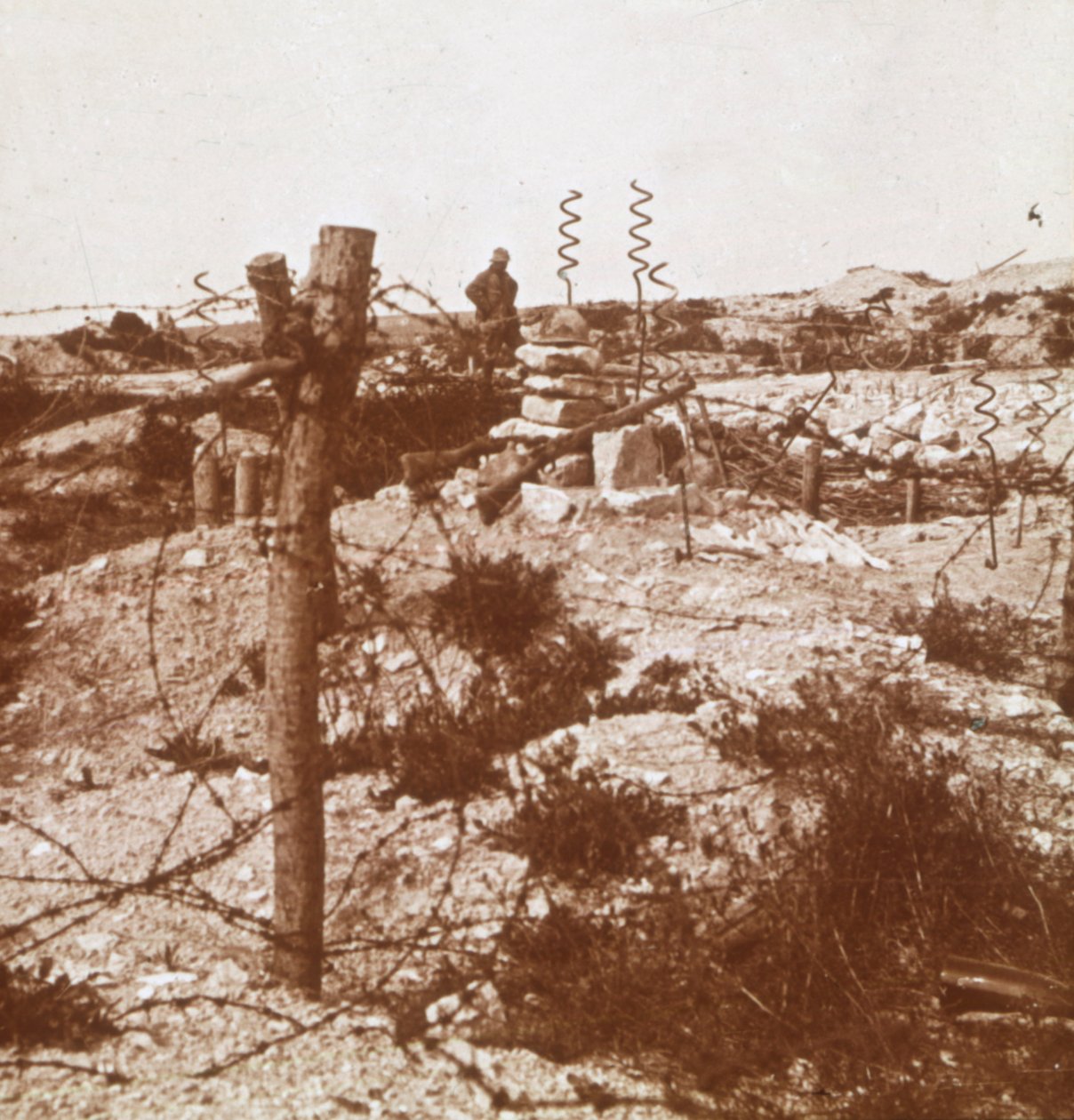 Taggtråd, Craonne, norra Frankrike, c1914-c1918 av Unbekannt