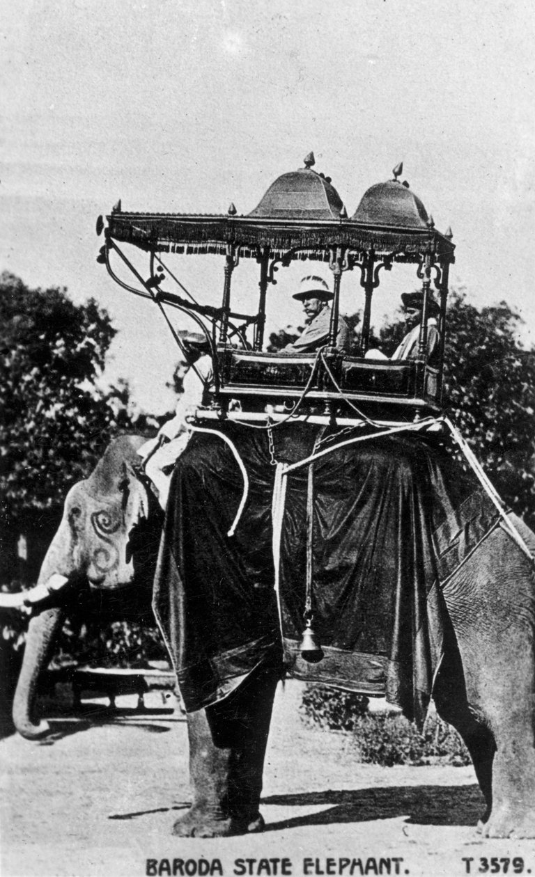 Baroda statselefant, Indien, 1900-talet av Unbekannt