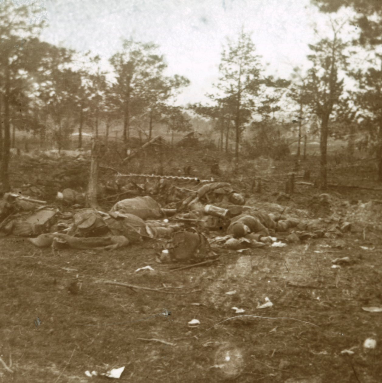 Slaget vid Champagne, Souain, norra Frankrike, c1915. av Unbekannt