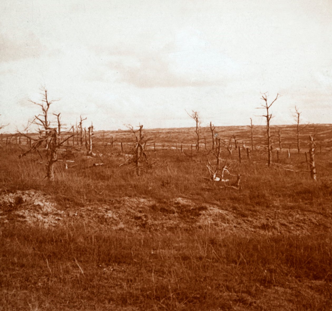 Battlefield, Tahure, norra Frankrike, c1914-c1918 av Unbekannt