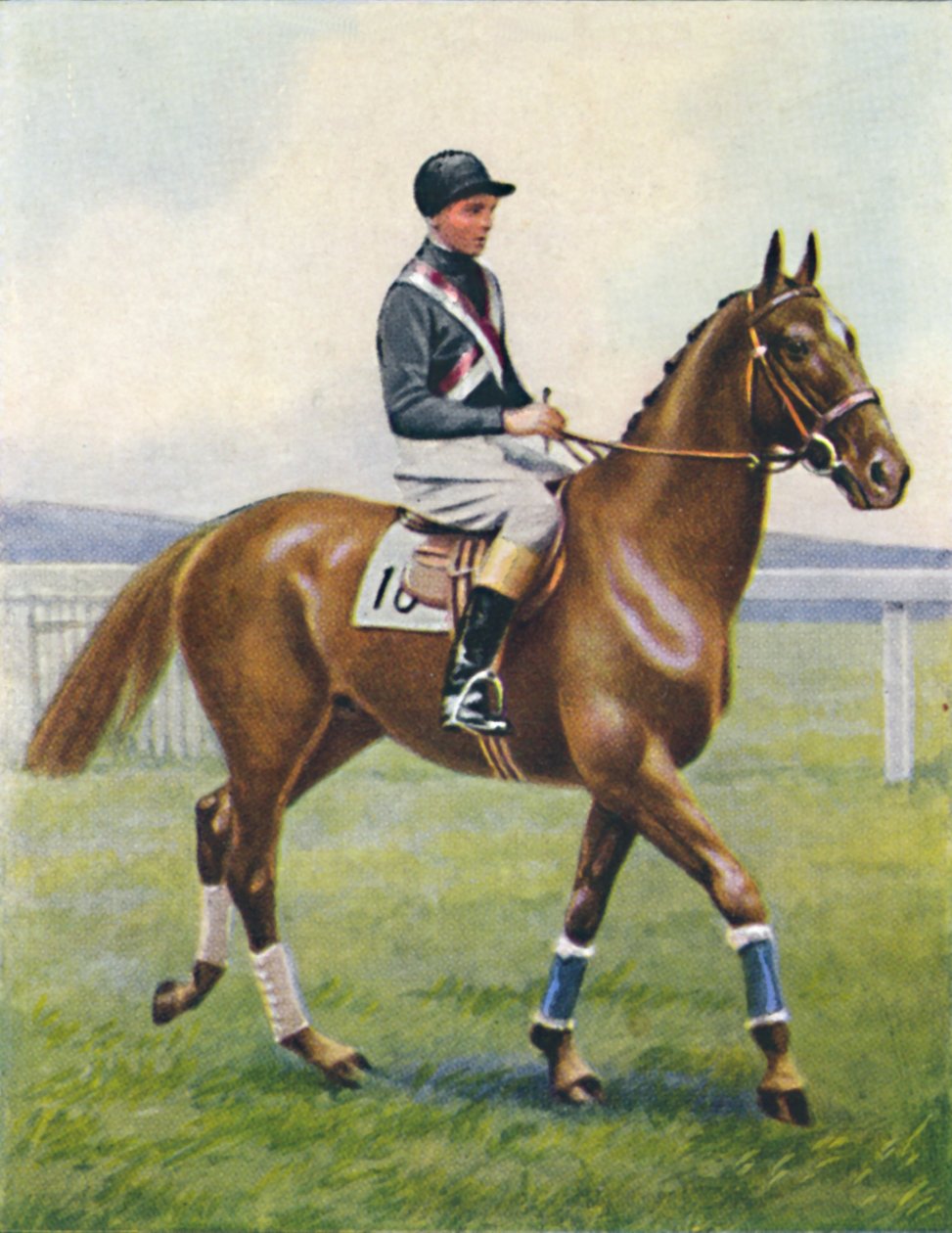 Battleship, Jockey: B. Hobbs, 1939 av Unbekannt