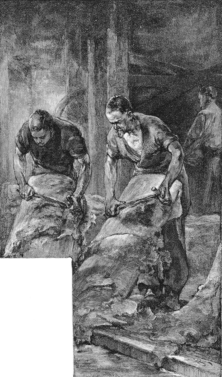 Strålande hudar för tillverkning av skoläder, 1885 av Unbekannt