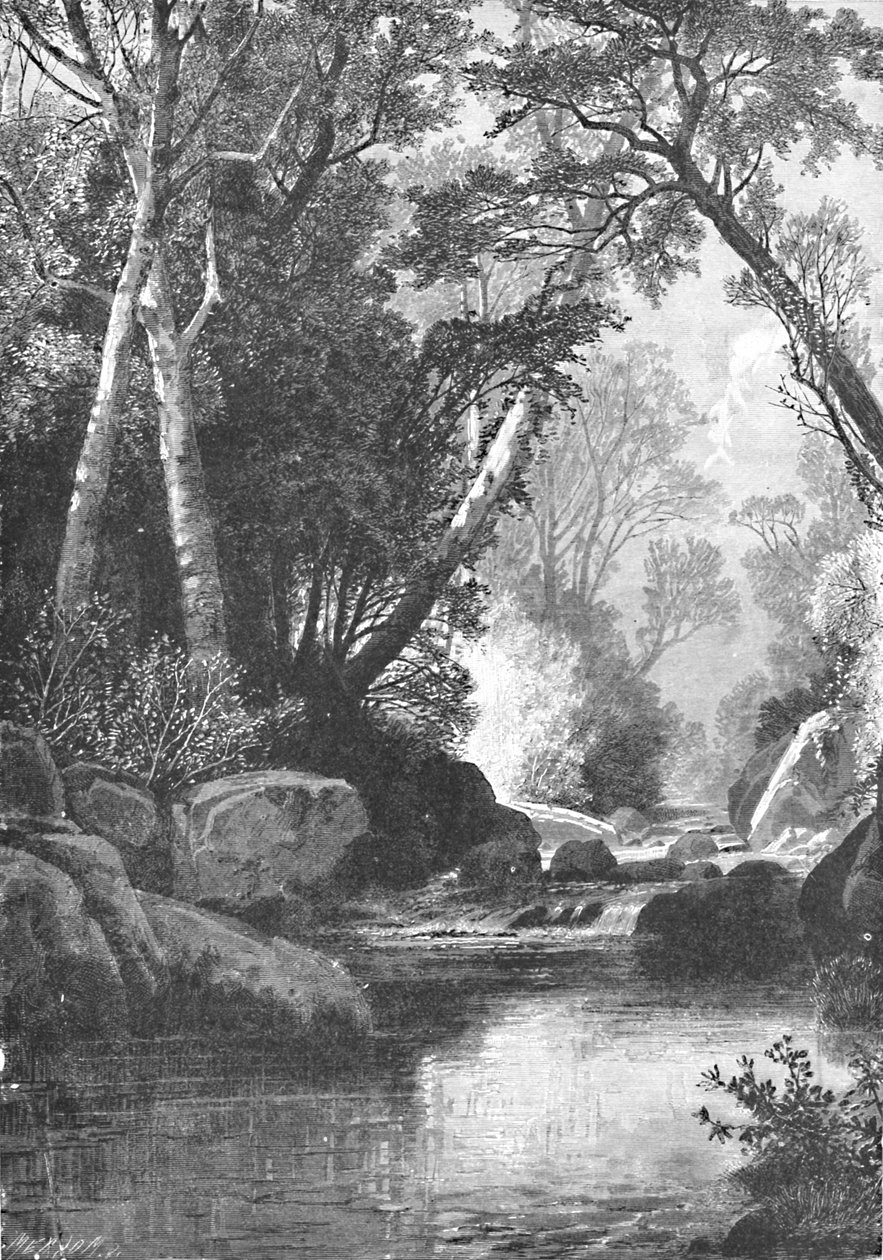 Bear River, nära Bethel, Maine, 1883 av Unbekannt