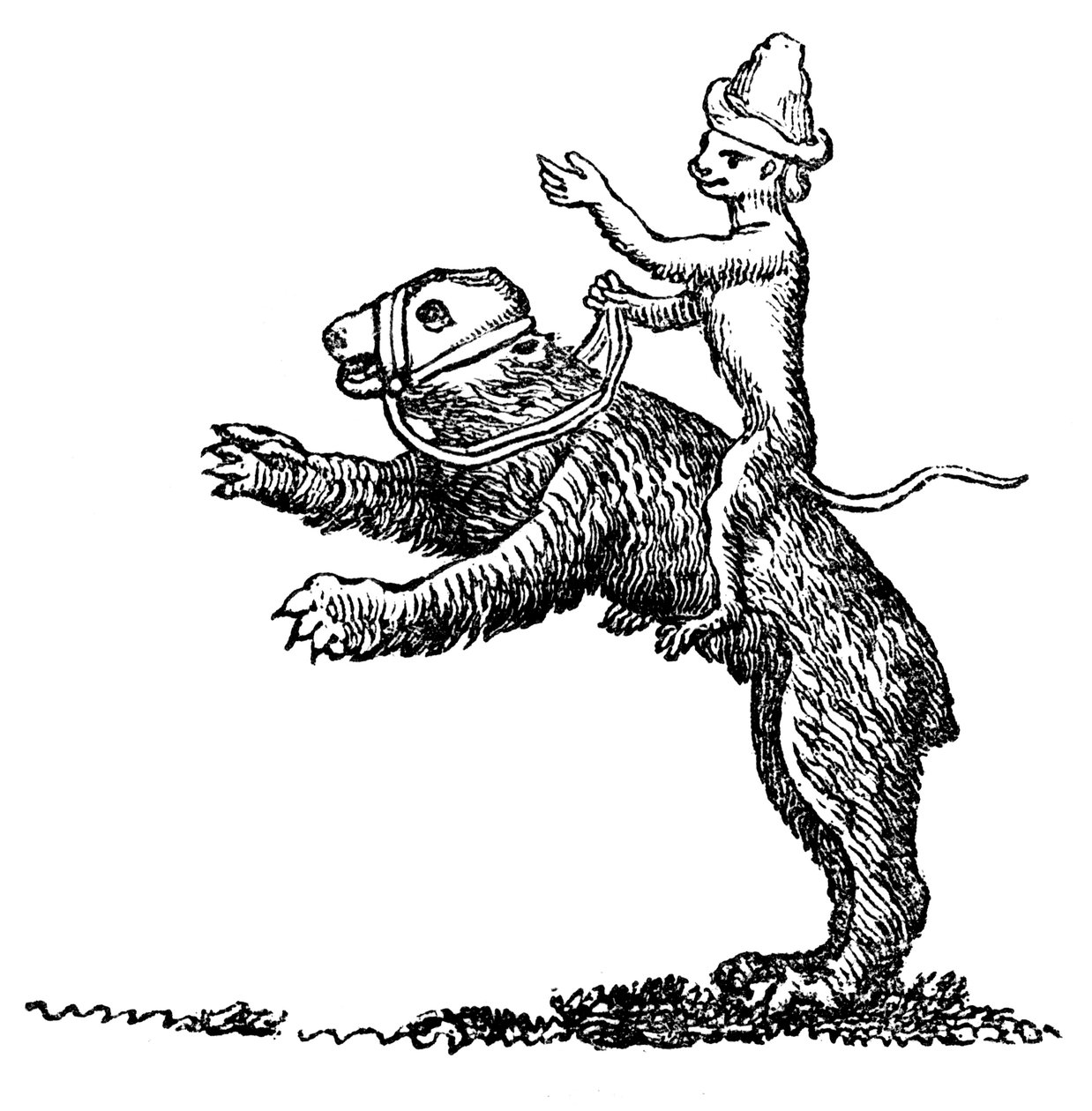 Björn och apa, 1200-talet, 1833 av Unbekannt