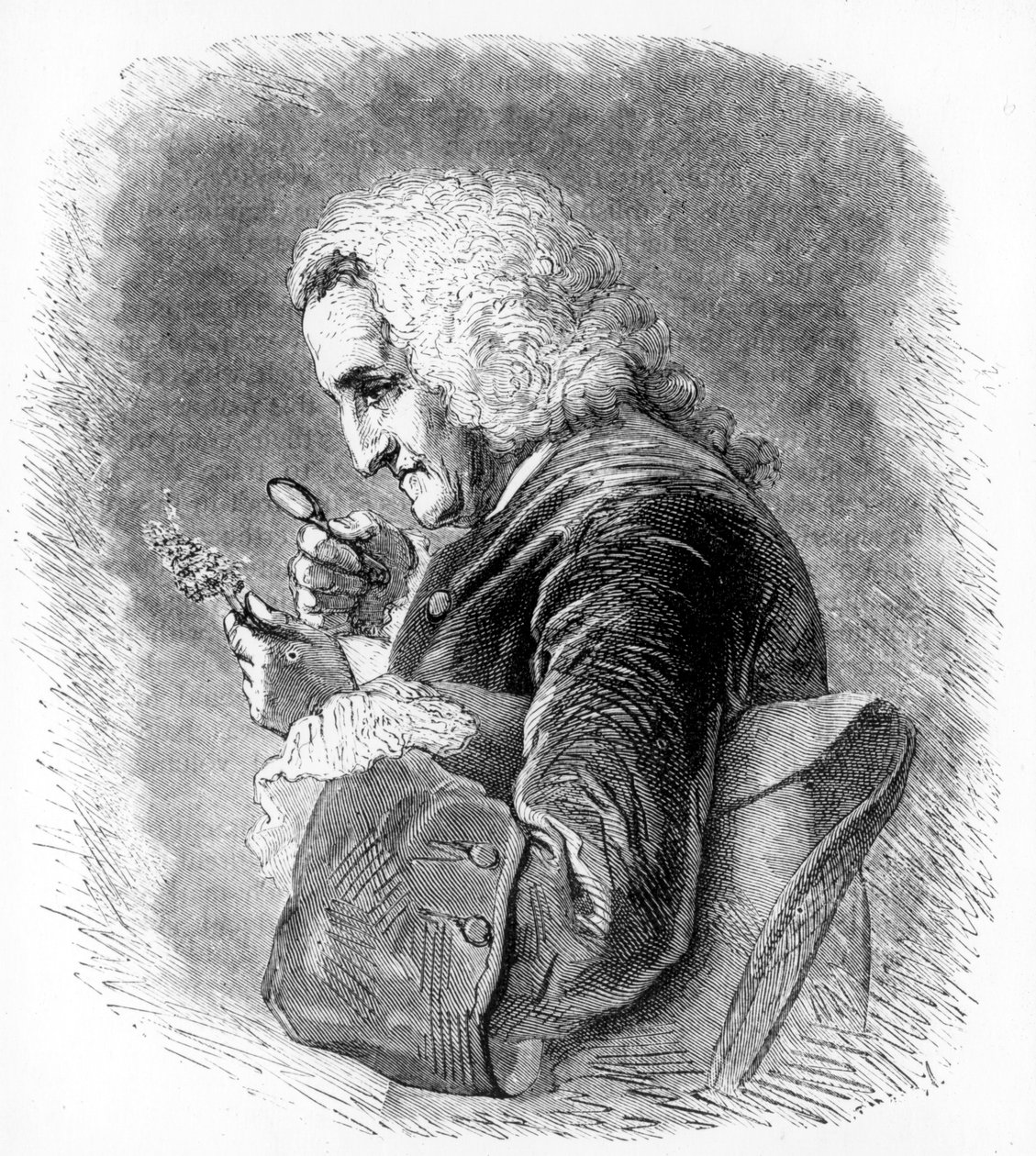 Bernard de Jussieu, fransk botaniker från 1700-talet, 1880 av Unbekannt