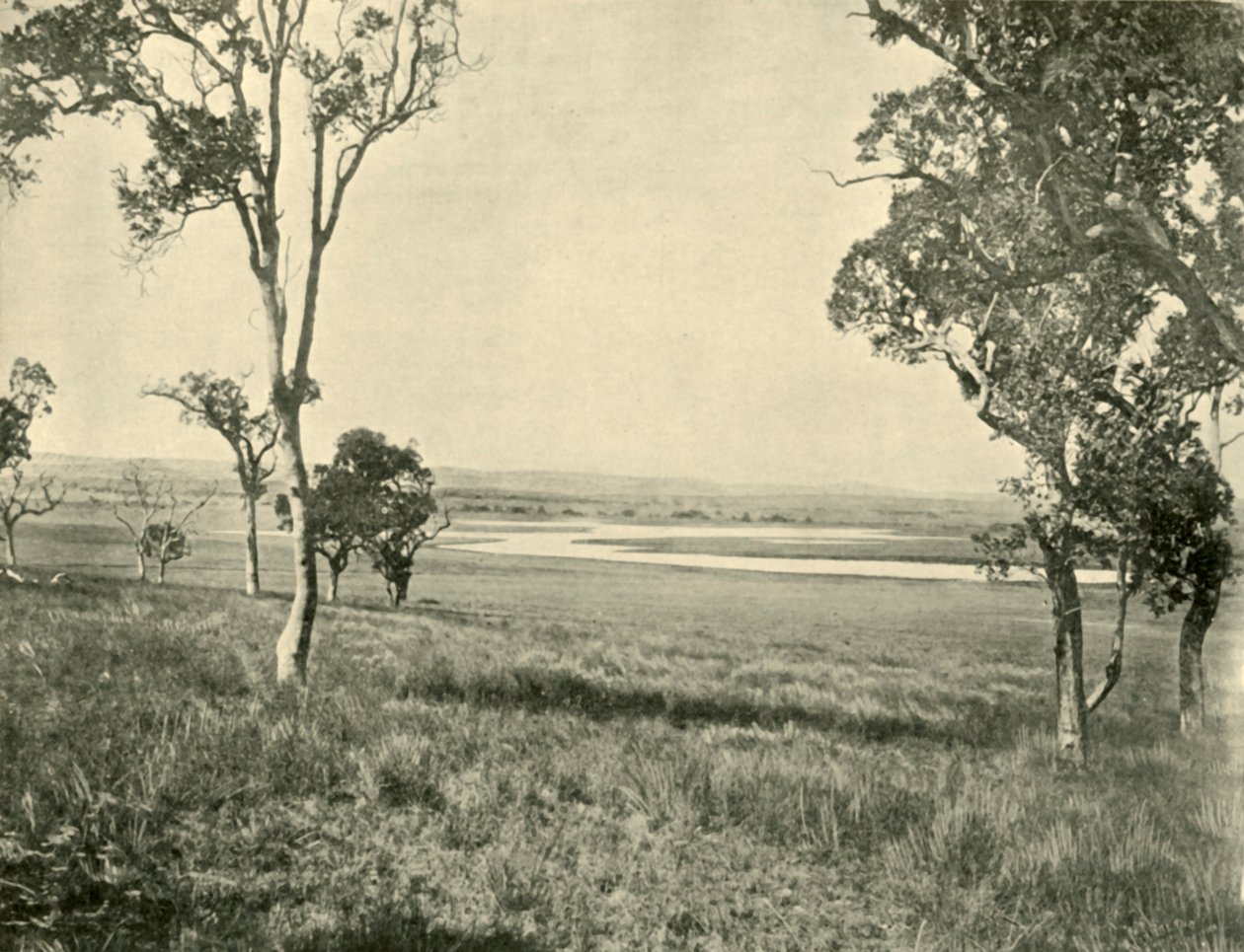 Black Swan Lagoon, nära Warwick, Queensland, 1901. av Unbekannt