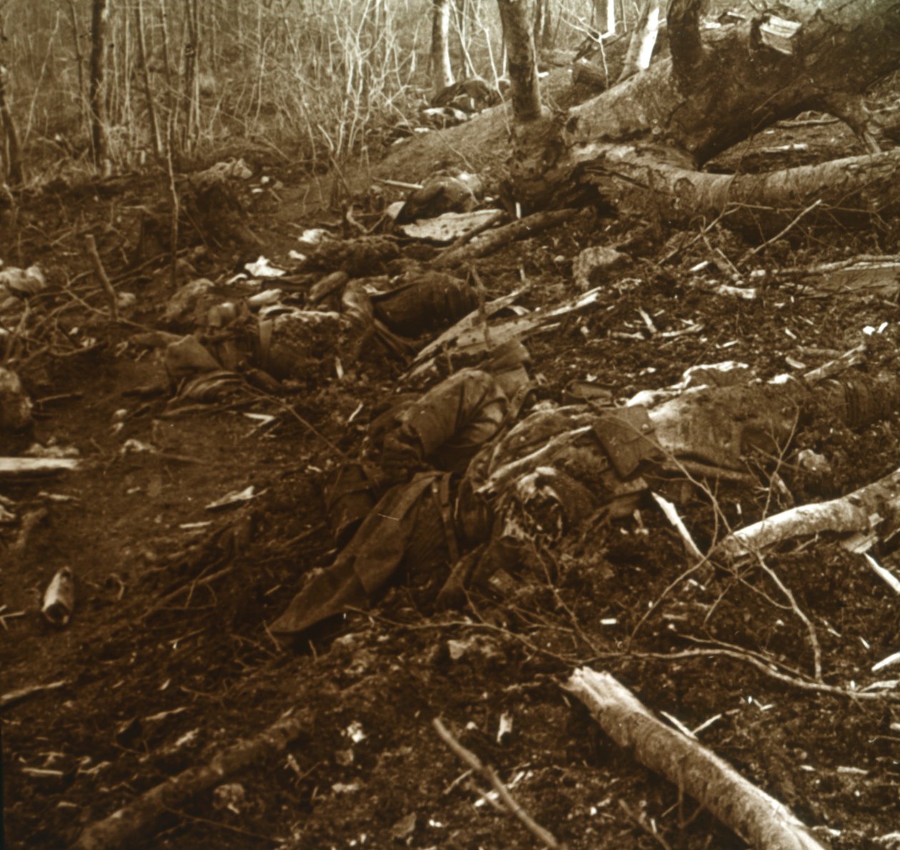Bodies, Les Éparges, norra Frankrike, 1915. av Unbekannt