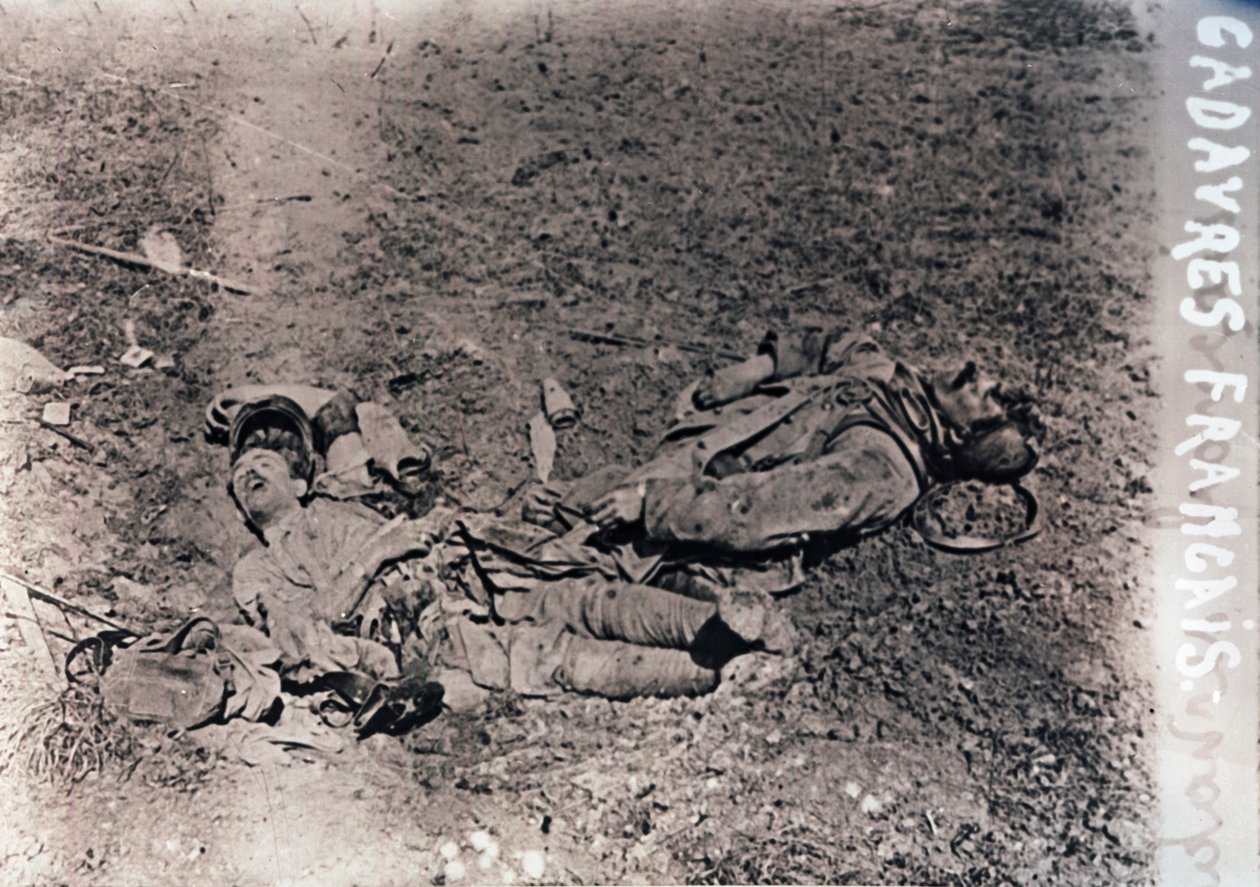 Kropp av döda franska soldater, c1914-c1918 av Unbekannt
