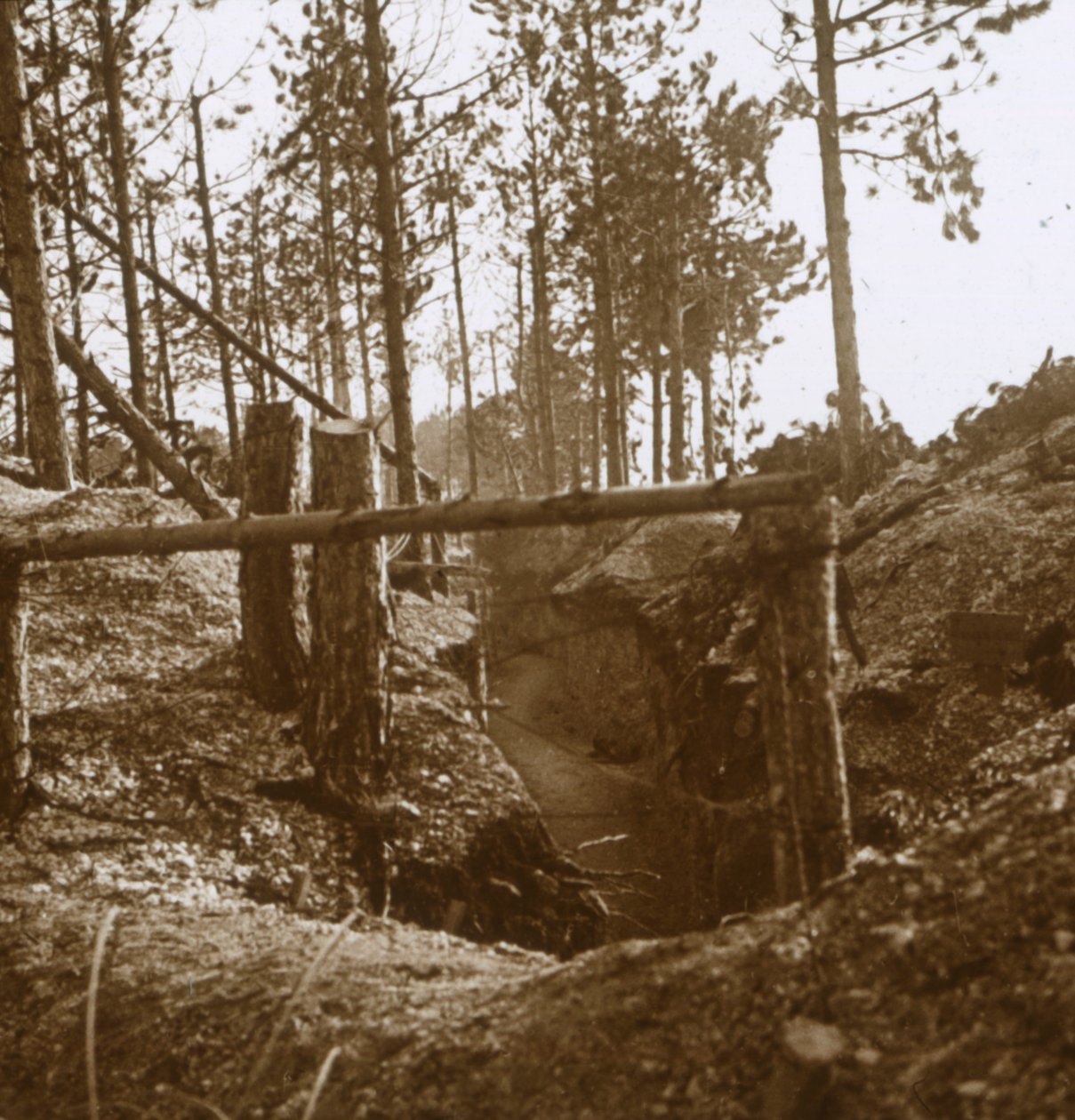 Bois-le-Prêtre, norra Frankrike, c1914-c1915 av Unbekannt