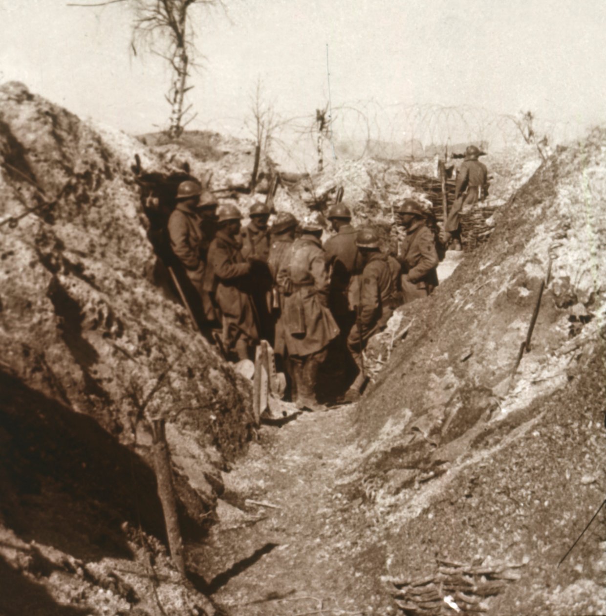 Bois de la Grille före attacken, norra Frankrike, c1914-c1918 av Unbekannt