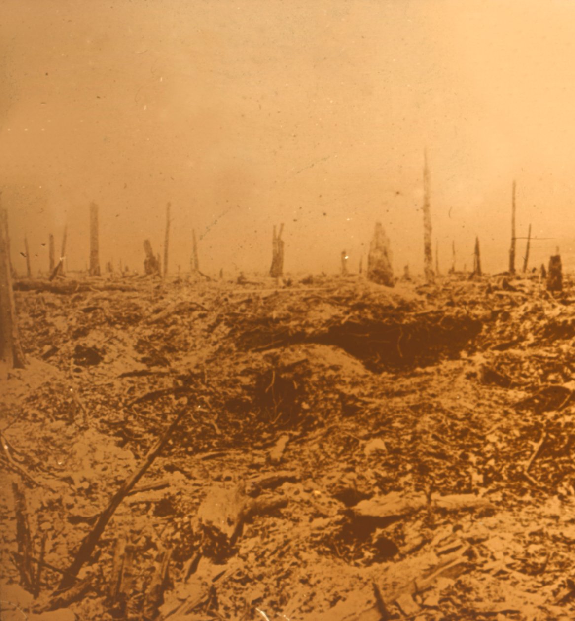 Bois du Chapitre, Vaux, norra Frankrike, c1914-c1918 av Unbekannt
