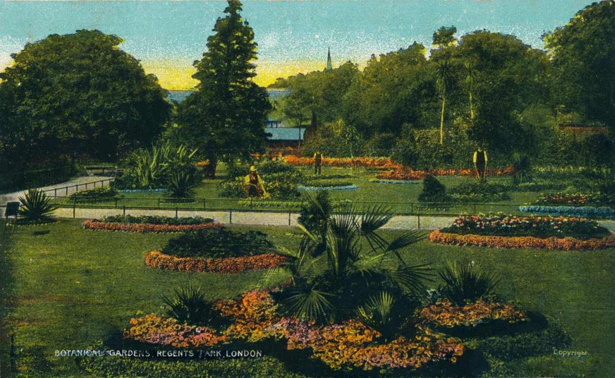 Botaniska trädgården, Regents Park, London, c1910 av Unbekannt