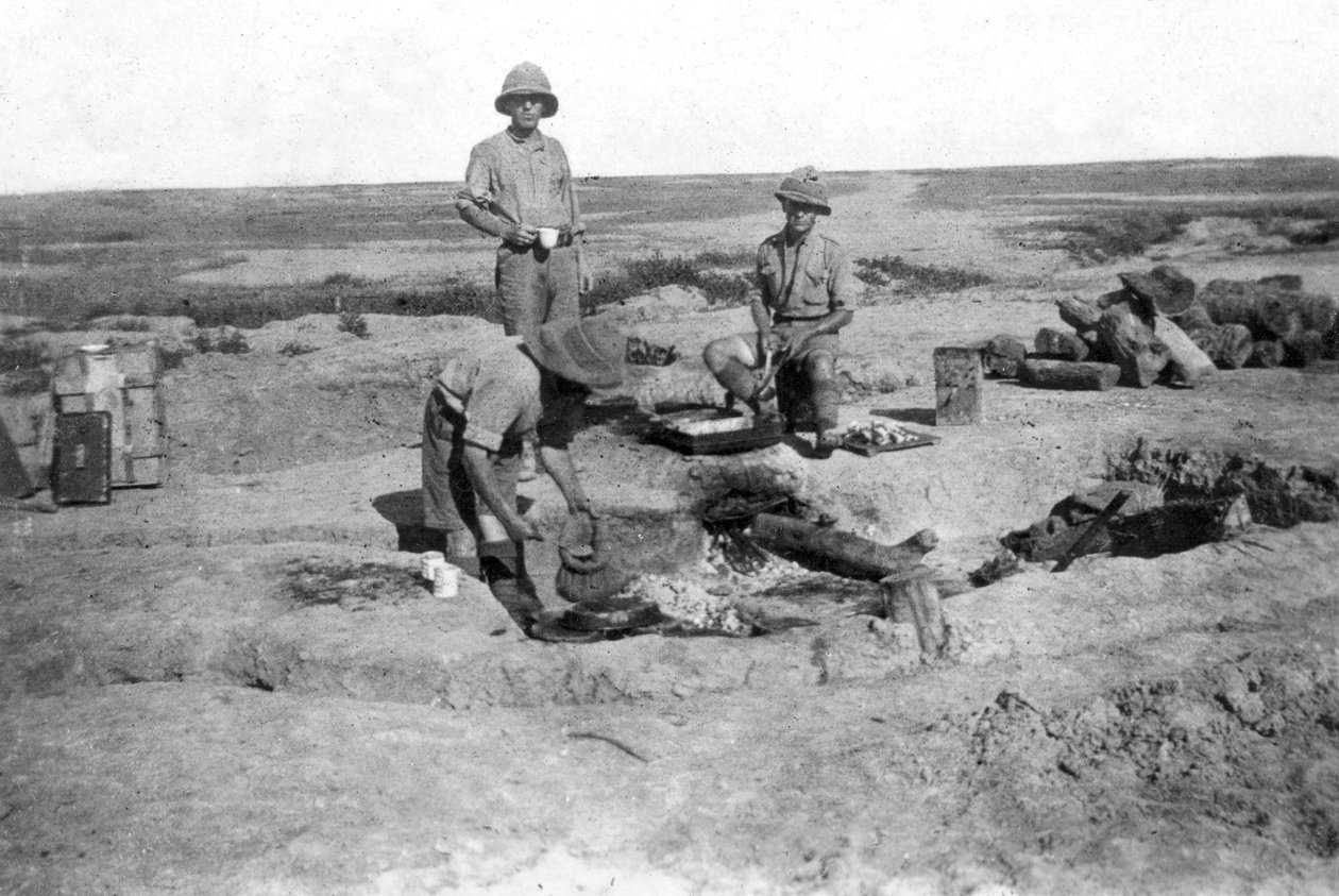 Brittisk armé C Company Cooking, Mesopotamien, WWI, 1918 av Unbekannt