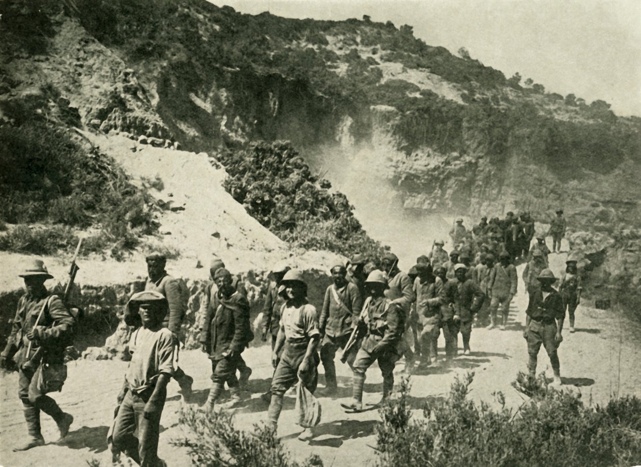 Brittiska trupper med turkiska fångar, första världskriget, 1915, c1920. av Unbekannt
