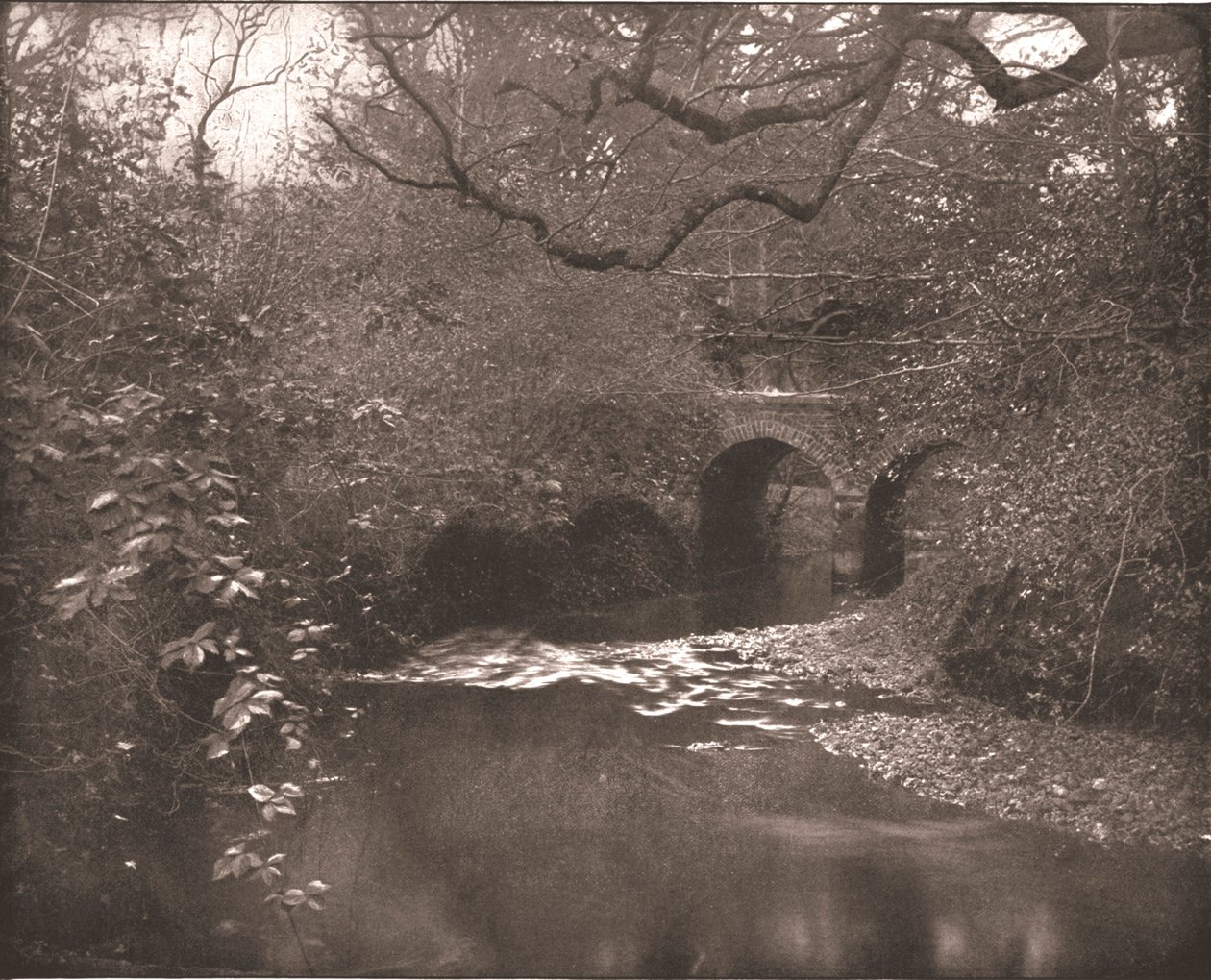 Bäck och bro i New Forest, Hampshire, 1894. av Unbekannt